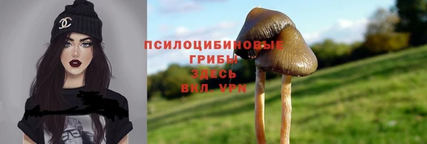 эйфоретик Армянск